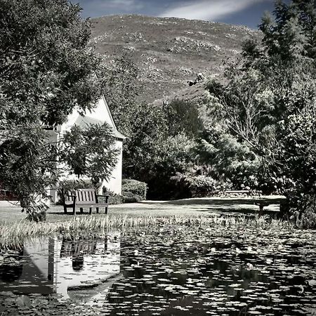 The Volmoed Trust Villa Hermanus Eksteriør bilde