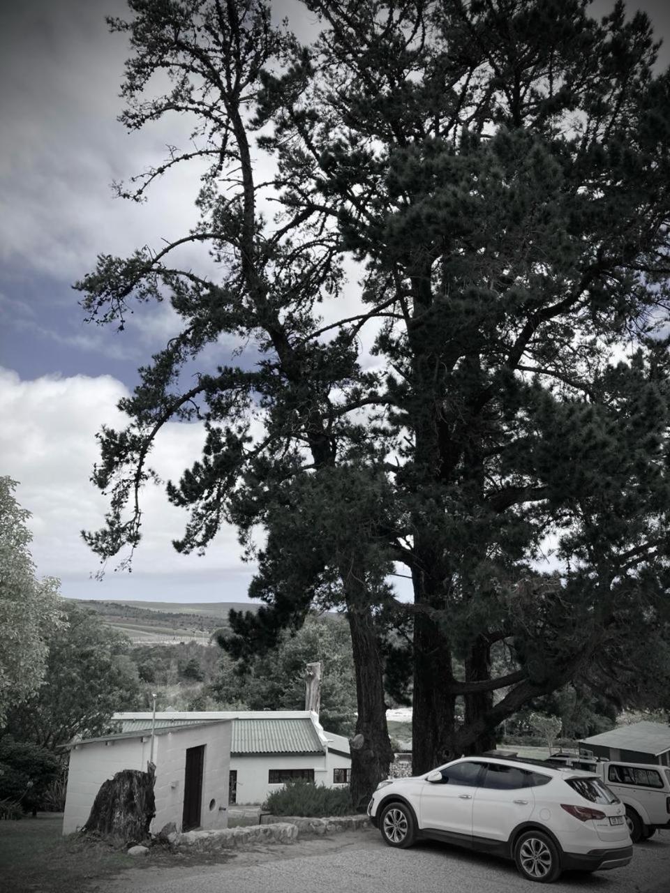 The Volmoed Trust Villa Hermanus Eksteriør bilde